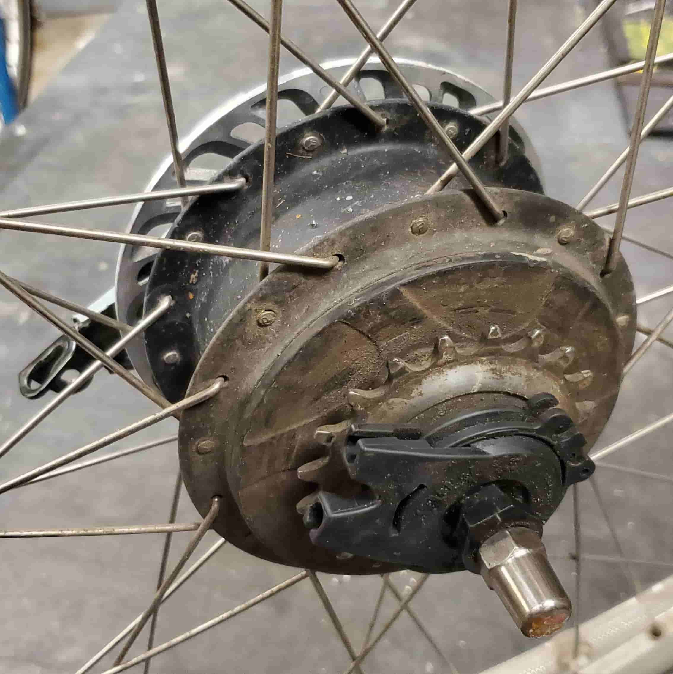 bluebike rear hub